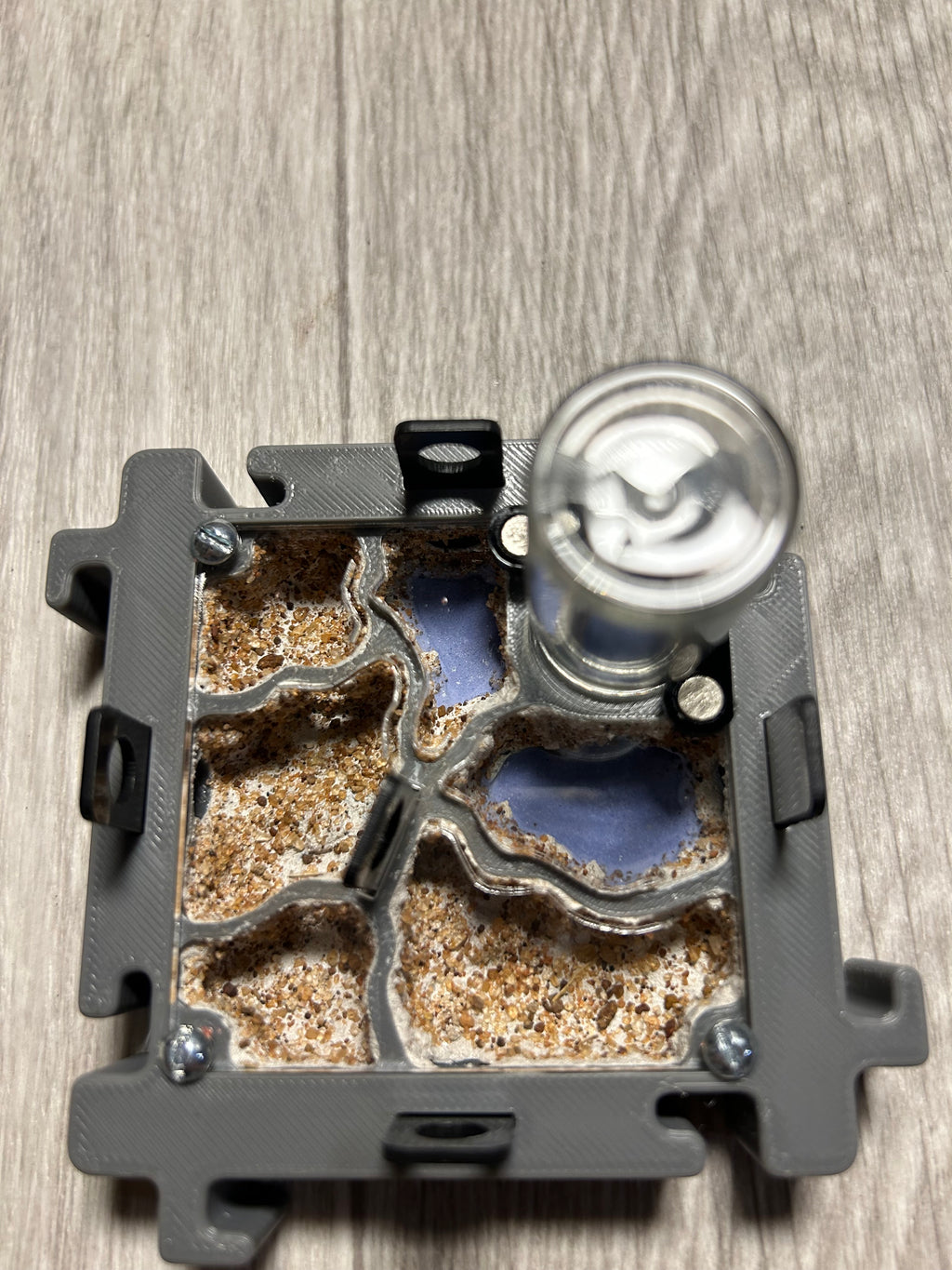 Modulo Hormiguero 8x8x2 cm | Nido natural, con Hidratación por zeta