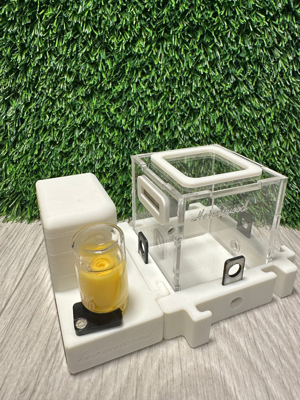 *Starter Kit de Inicio Hormiwood con Reina – Hormiguero Modular 8x8 cm*