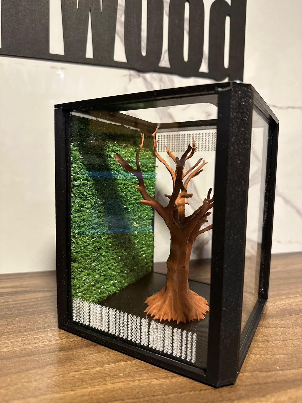Terrario mantis y saltarinas, Bonsai Tree 20x16x16 - Hormiwood