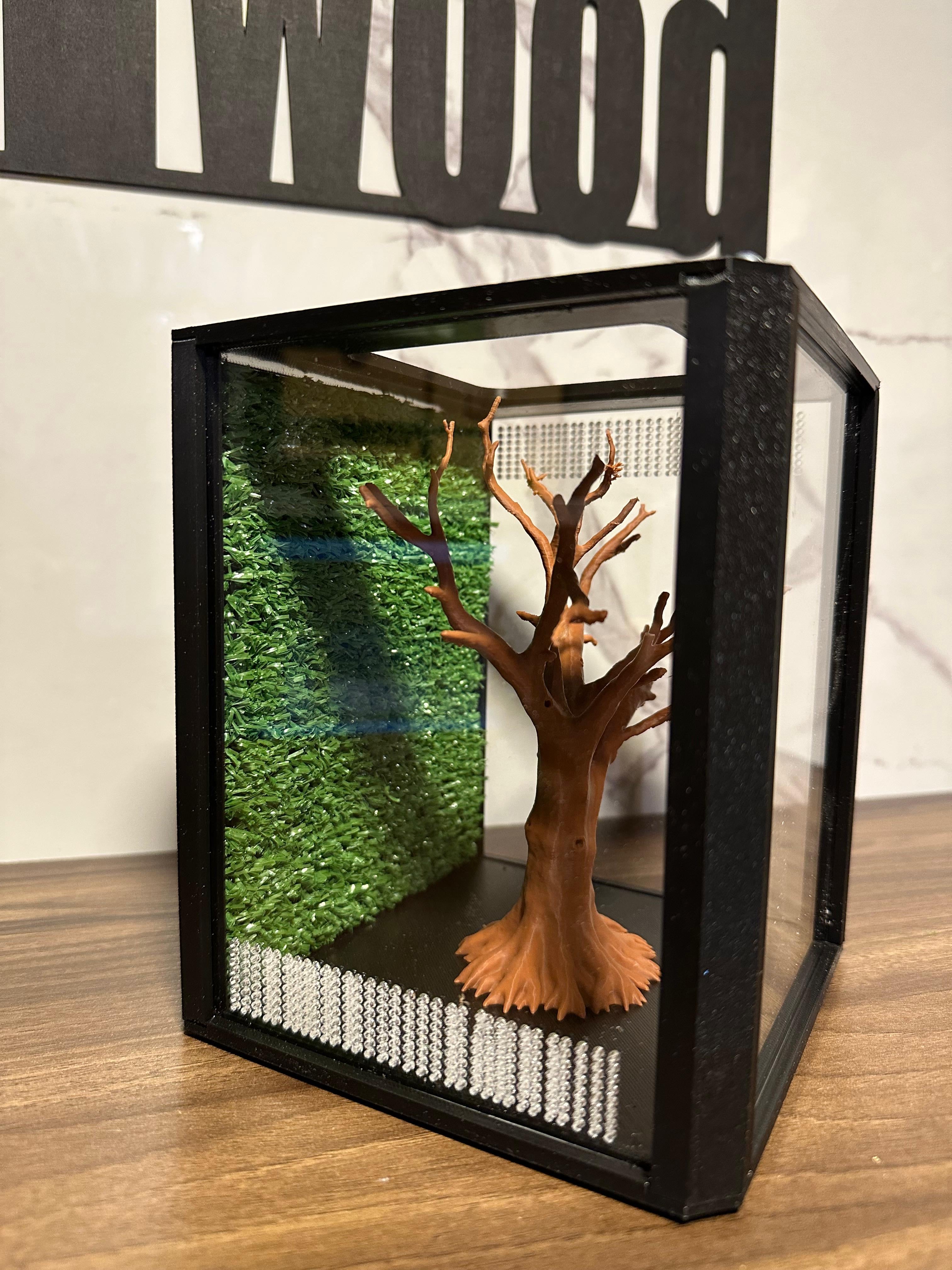 Terrario mantis y saltarinas, Bonsai Tree 20x16x16 - Hormiwood