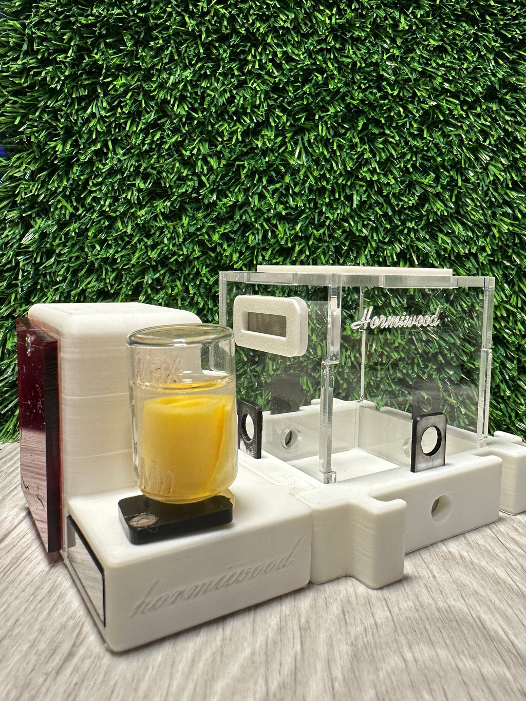 *Starter Kit de Inicio Hormiwood con Reina – Hormiguero Modular 8x8 cm*