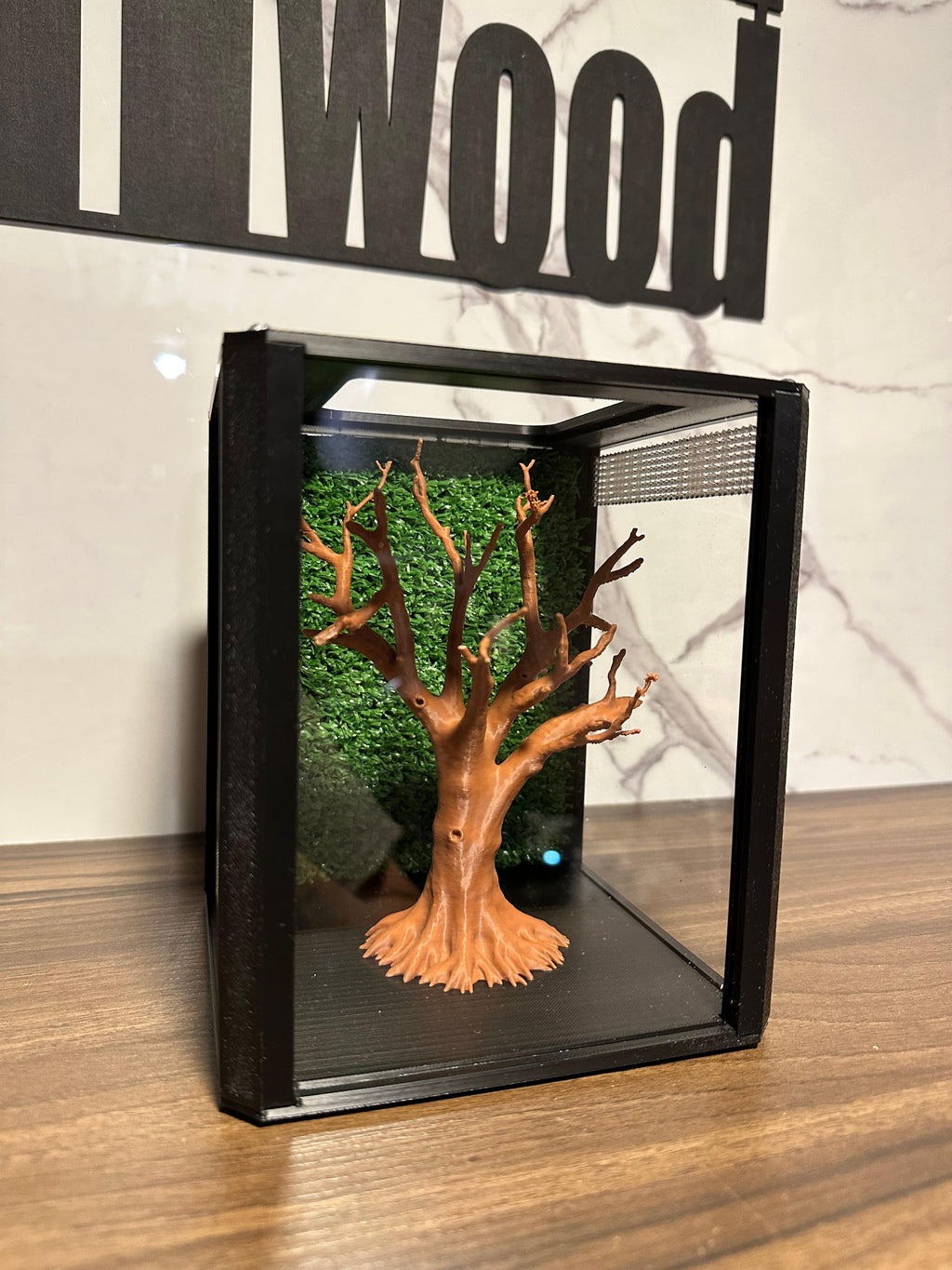 Terrario mantis y saltarinas, Bonsai Tree 20x16x16 - Hormiwood