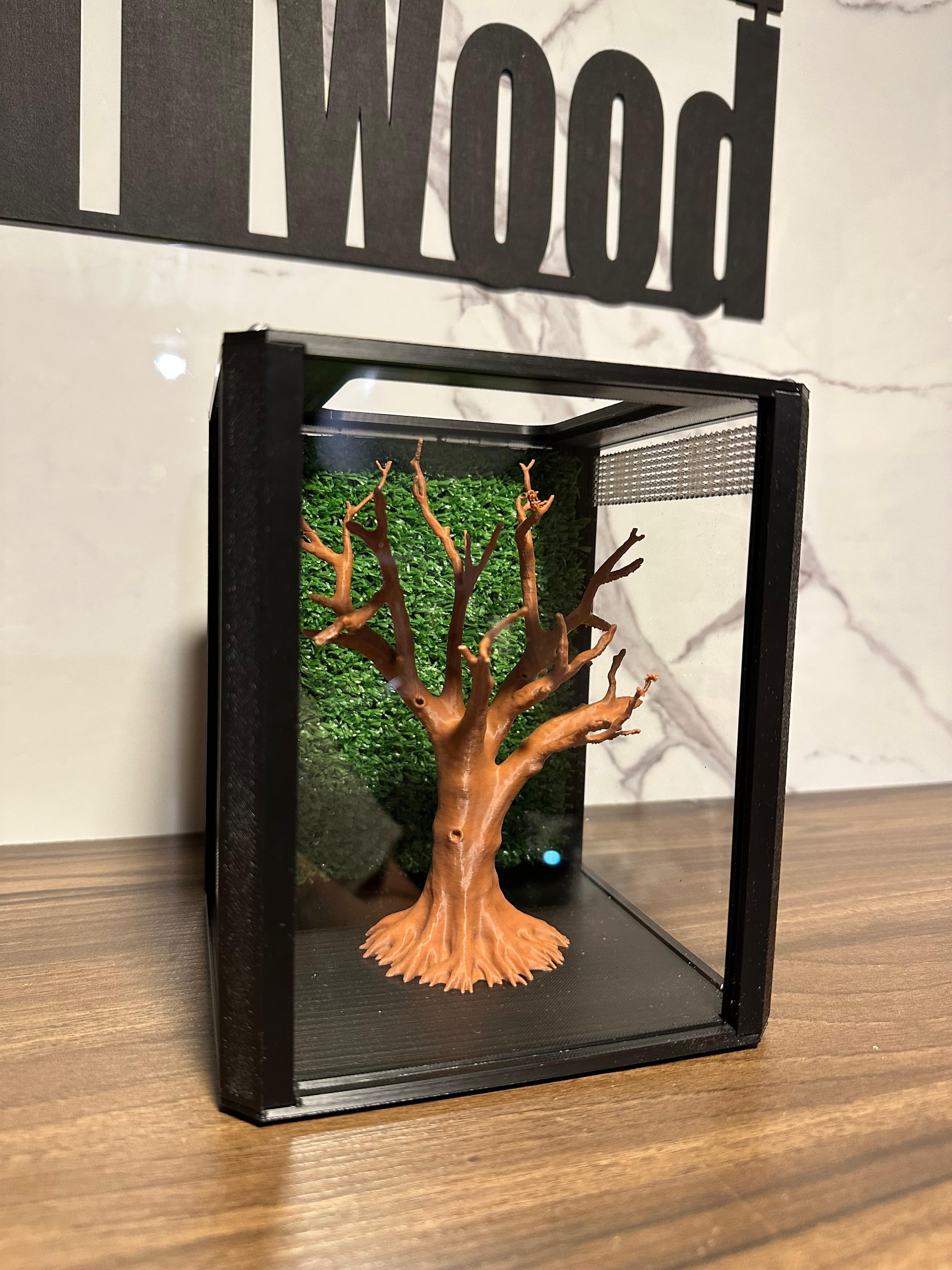 Terrario mantis y saltarinas, Bonsai Tree 20x16x16 - Hormiwood