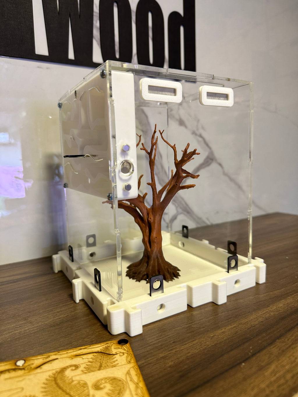 Hormiguero Modular 18x18x18 cm con Outworld y Árbol Decorativo - Formicario 3D de Acrílico
