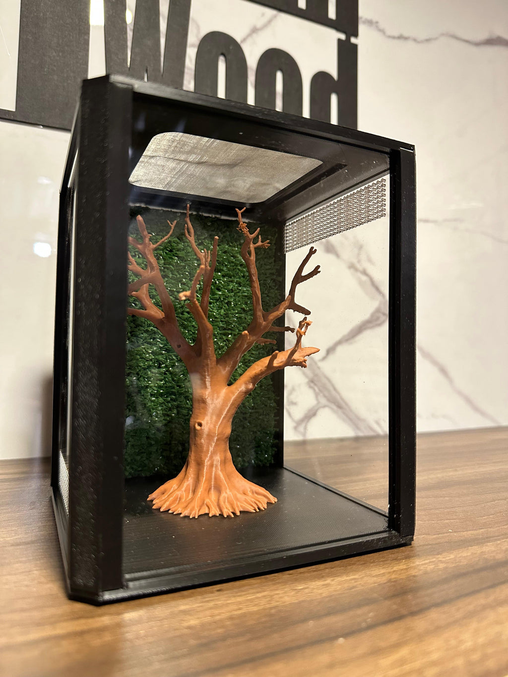 Terrario mantis y saltarinas, Bonsai Tree 20x16x16 - Hormiwood
