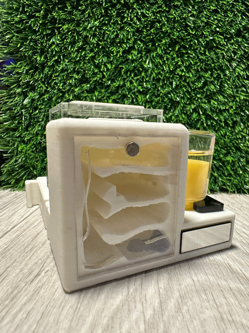 *Starter Kit de Inicio Hormiwood con Reina – Hormiguero Modular 8x8 cm*