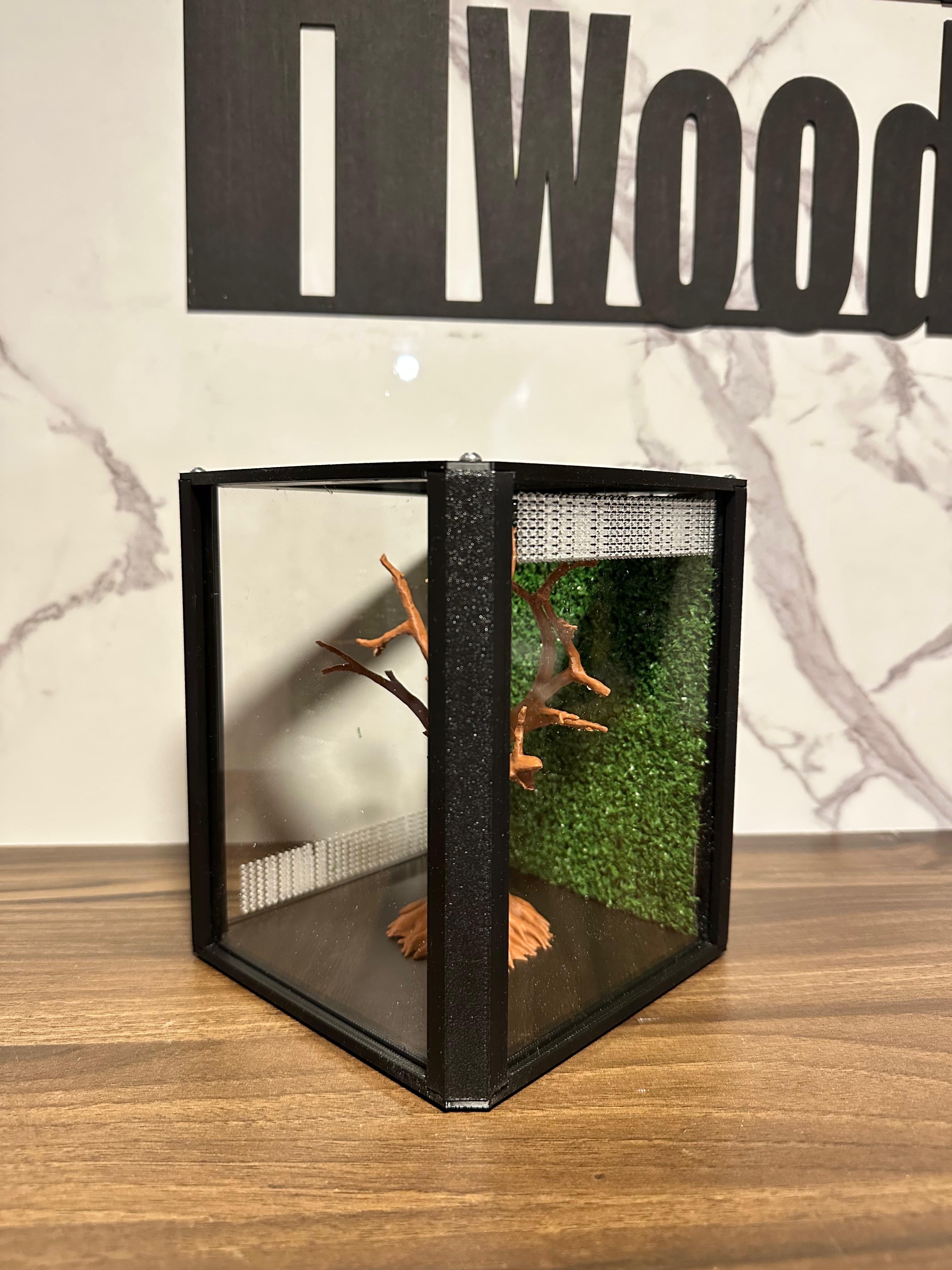 Terrario mantis y saltarinas, Bonsai Tree 20x16x16 - Hormiwood