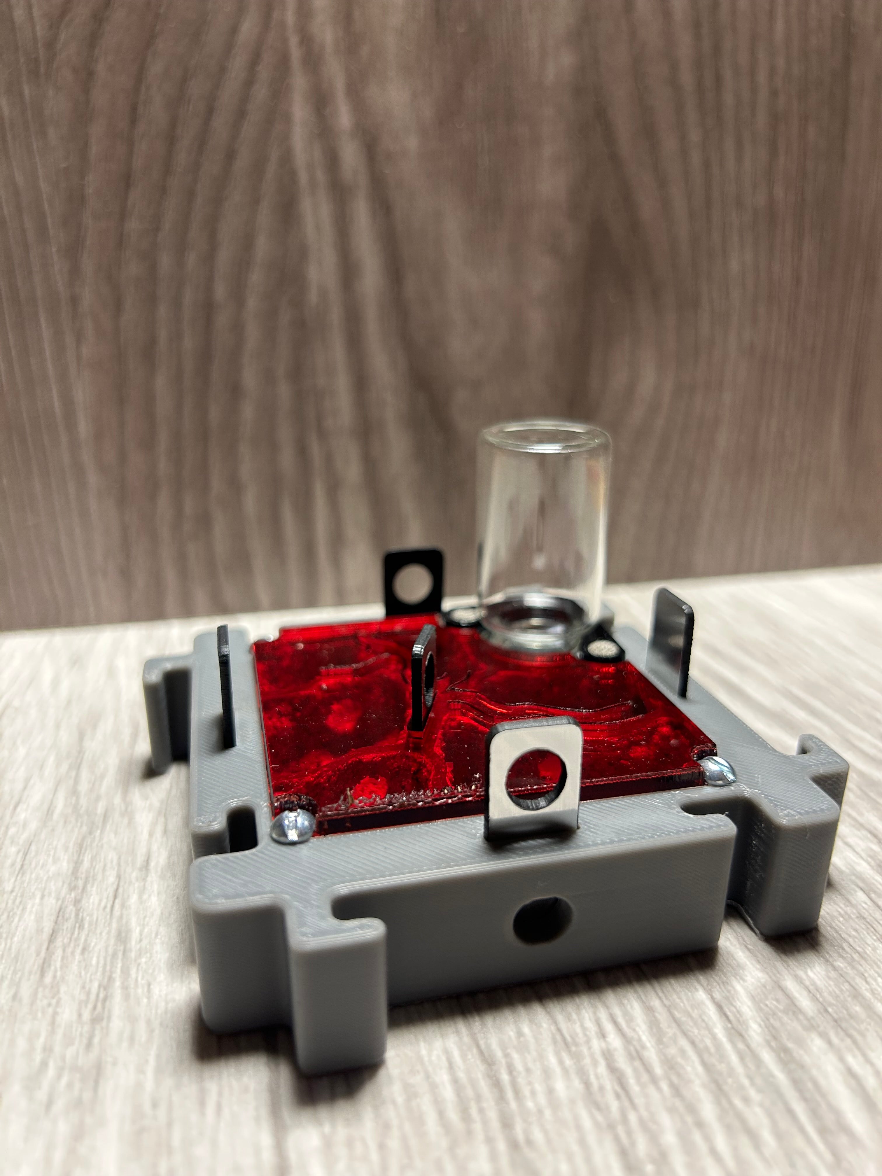 Modulo Hormiguero 8x8x2 cm | Nido natural, con Hidratación por zeta
