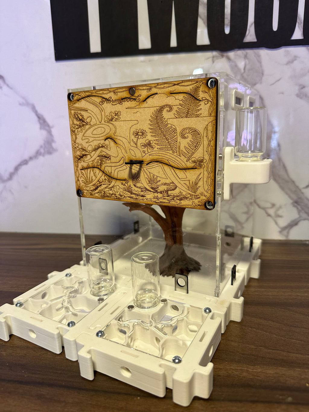 Hormiguero Modular 18x18x18 cm con Outworld y Árbol Decorativo - Formicario 3D de Acrílico
