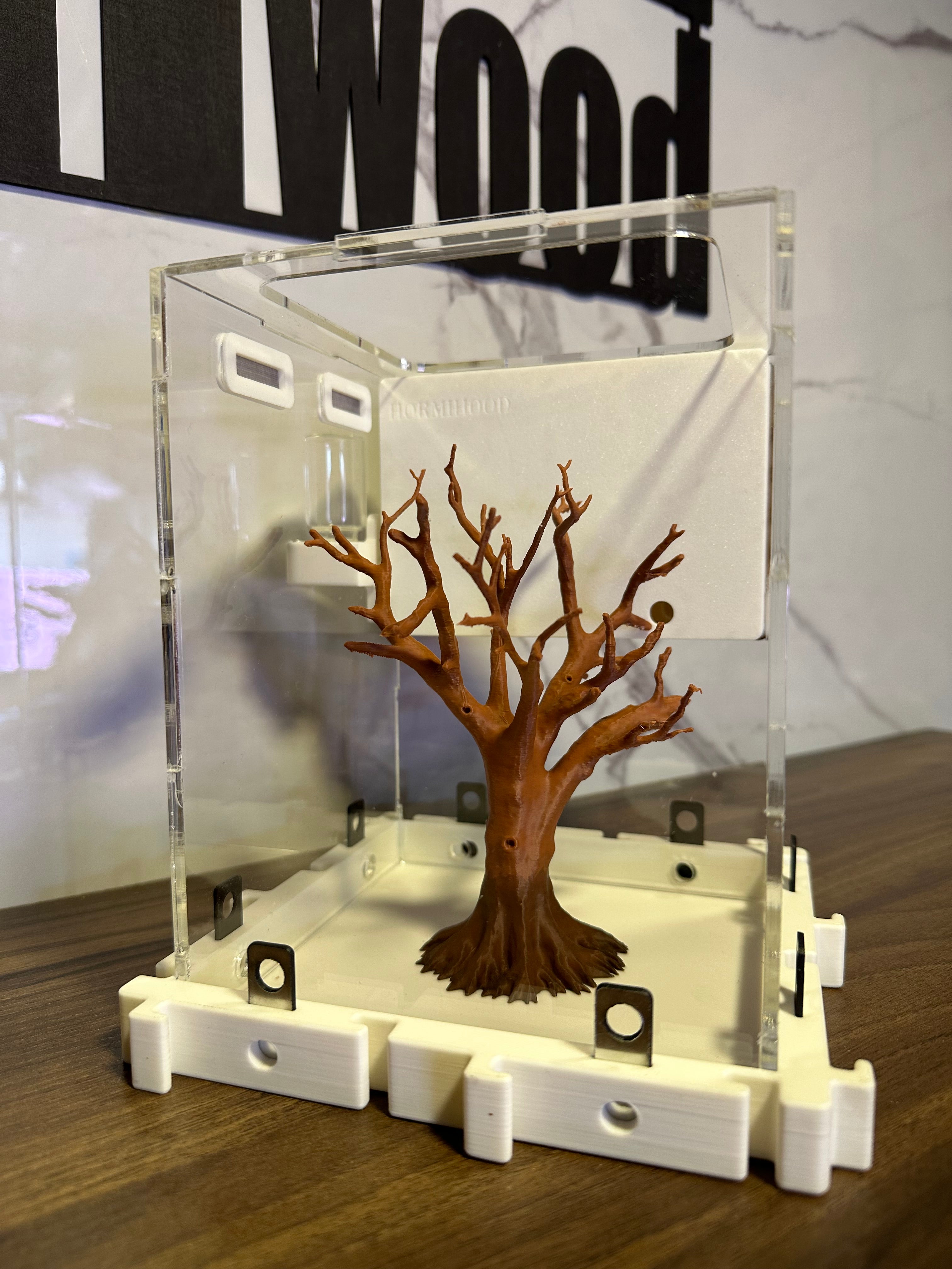 Hormiguero Modular 18x18x18 cm con Outworld y Árbol Decorativo - Formicario 3D de Acrílico