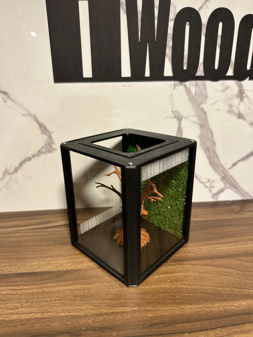 Terrario mantis y saltarinas, Bonsai Tree 20x16x16 - Hormiwood
