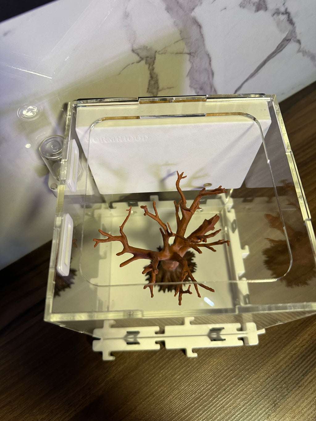 Hormiguero Modular 18x18x18 cm con Outworld y Árbol Decorativo - Formicario 3D de Acrílico