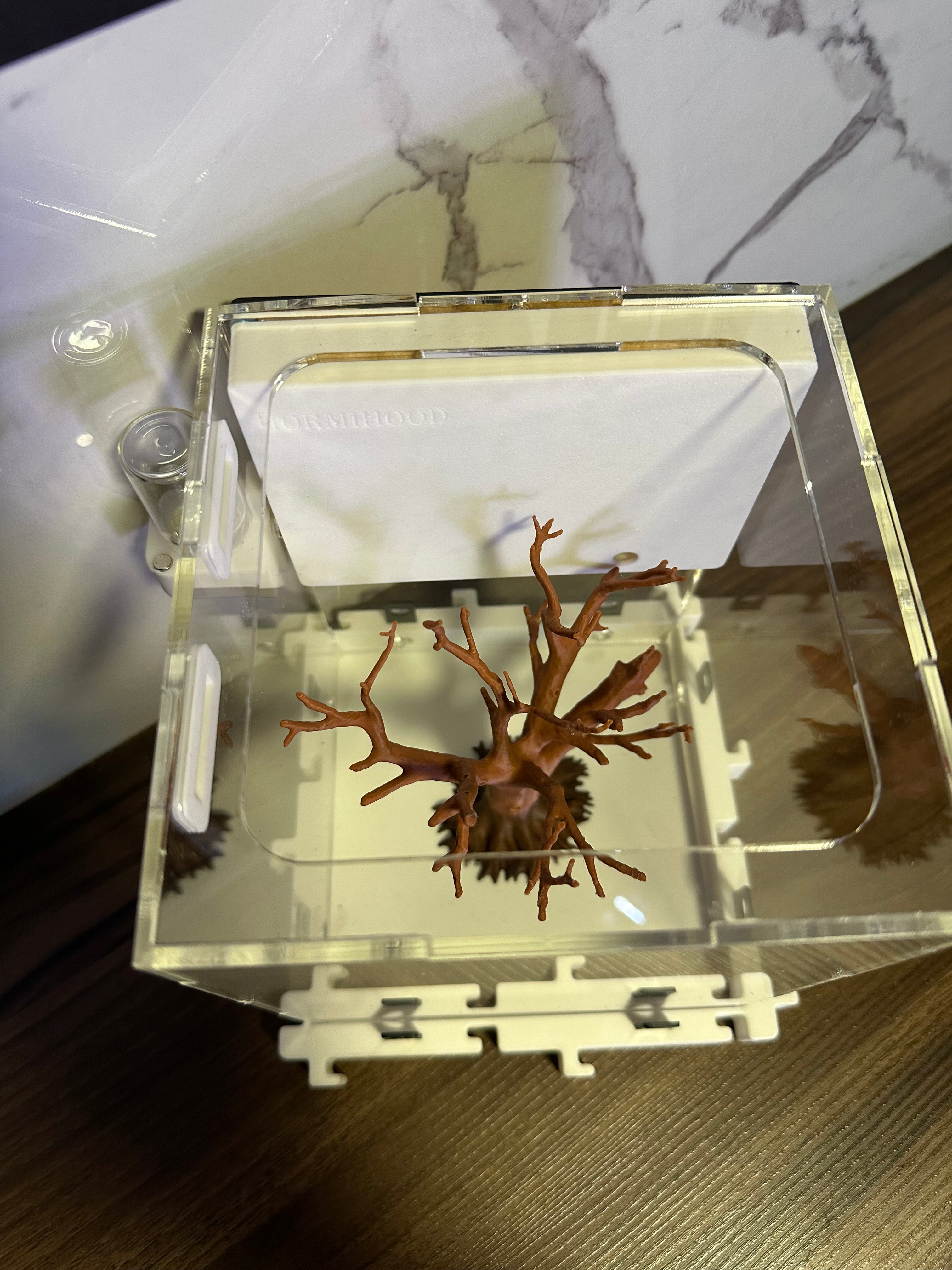 Hormiguero Modular 18x18x18 cm con Outworld y Árbol Decorativo - Formicario 3D de Acrílico
