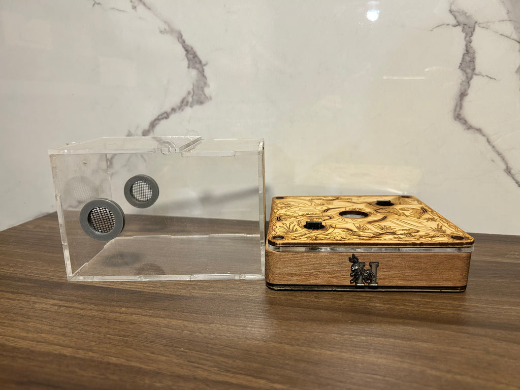Hormiguero en madera de tzalam 14x14 cm