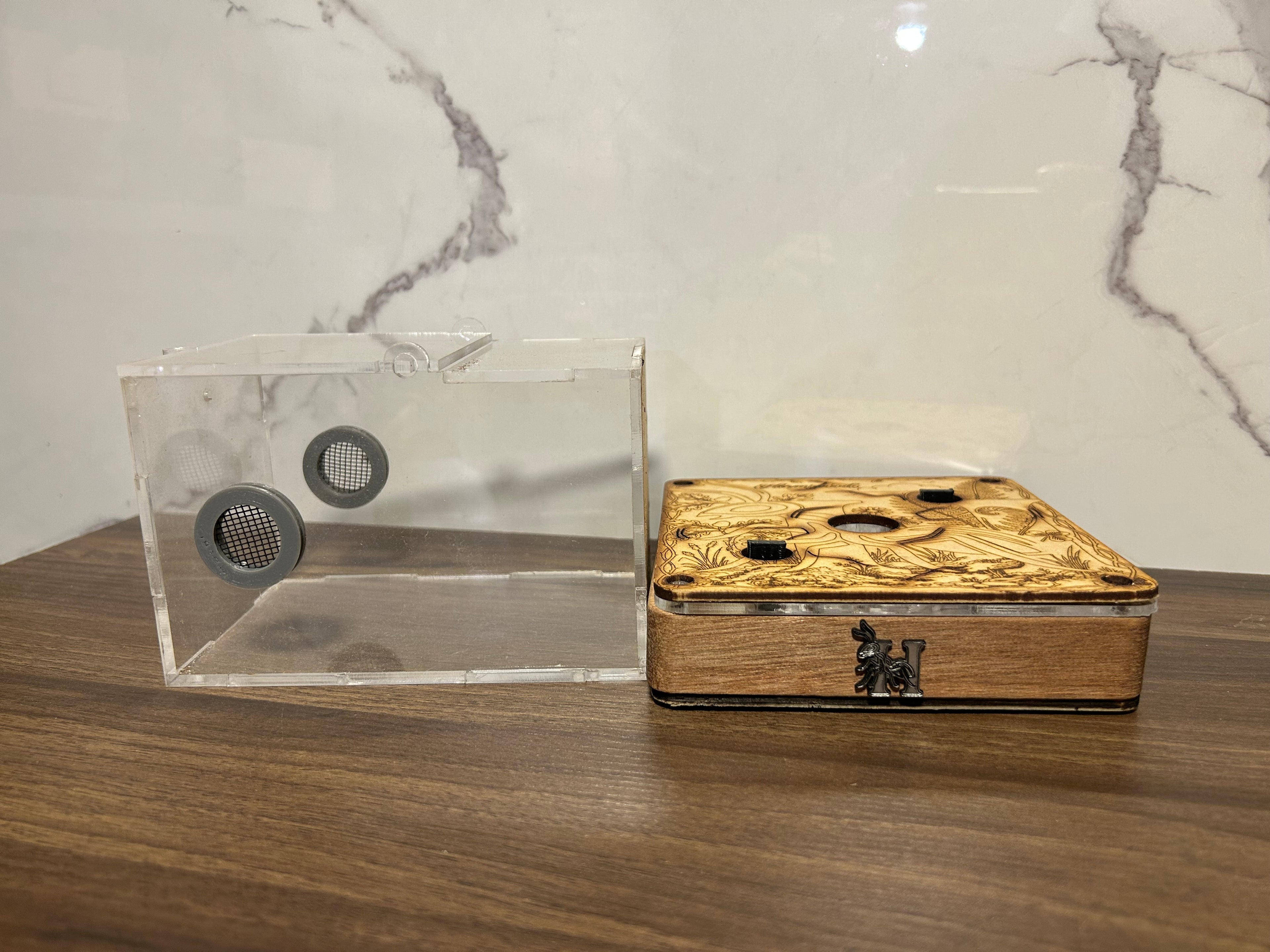 Hormiguero en madera de tzalam 14x14 cm