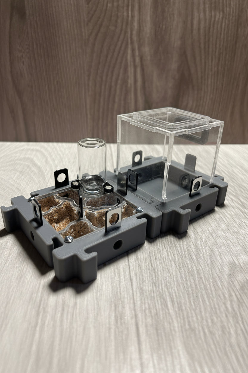 Modulo Hormiguero 8x8x2 cm | Nido natural, con Hidratación por zeta