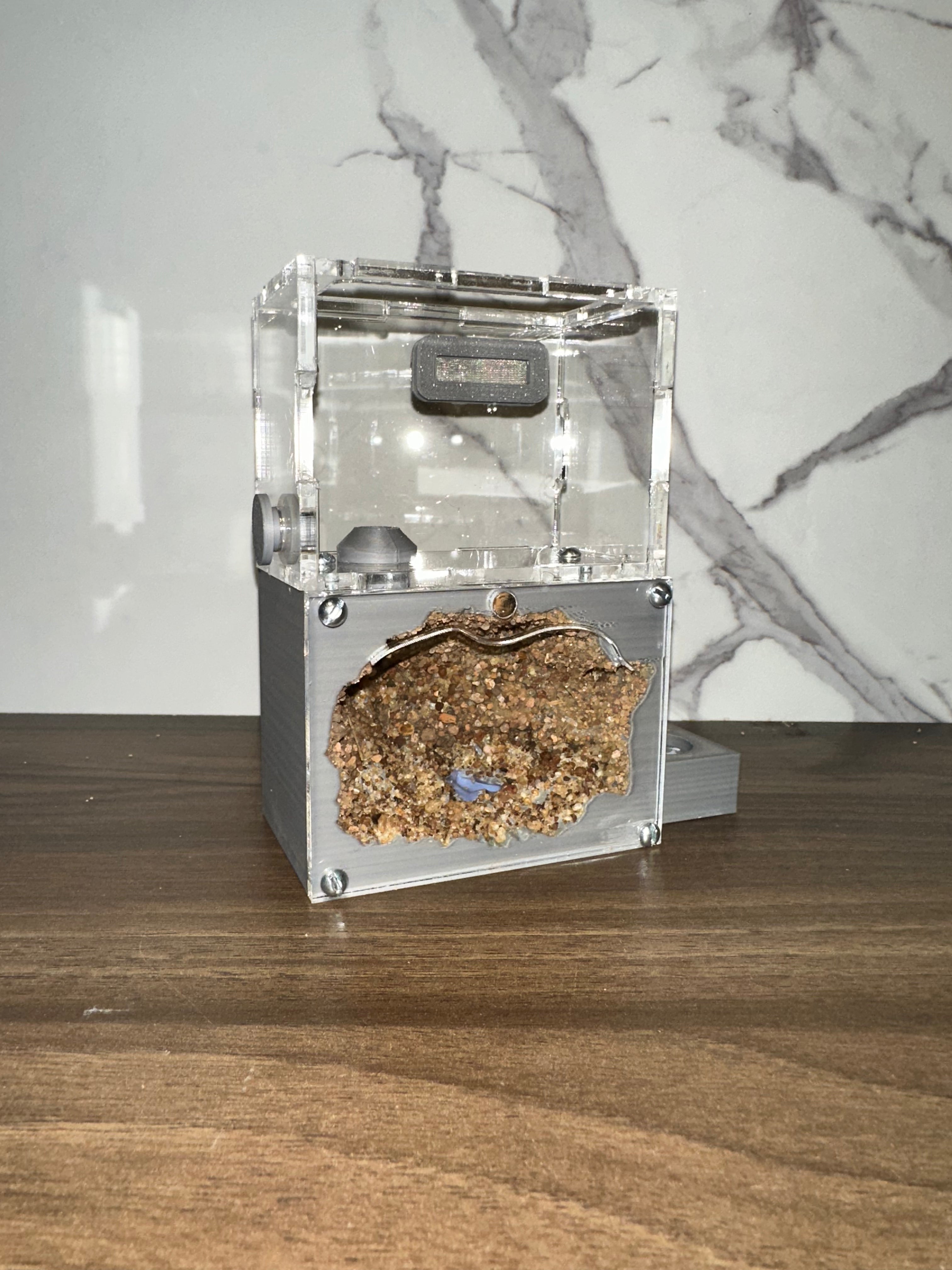 *Hormiguero Acrílico Compacto 12x8x5cm - Nido + Forrajeo con Tapa Roja Magnética*