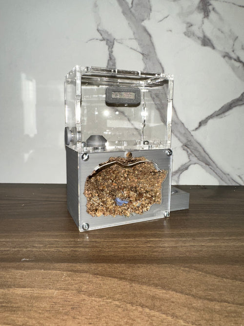 *Hormiguero Acrílico Compacto 12x8x5cm - Nido + Forrajeo con Tapa Roja Magnética*