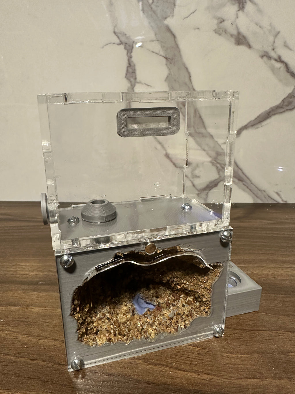 *Hormiguero Acrílico Compacto 12x8x5cm - Nido + Forrajeo con Tapa Roja Magnética*
