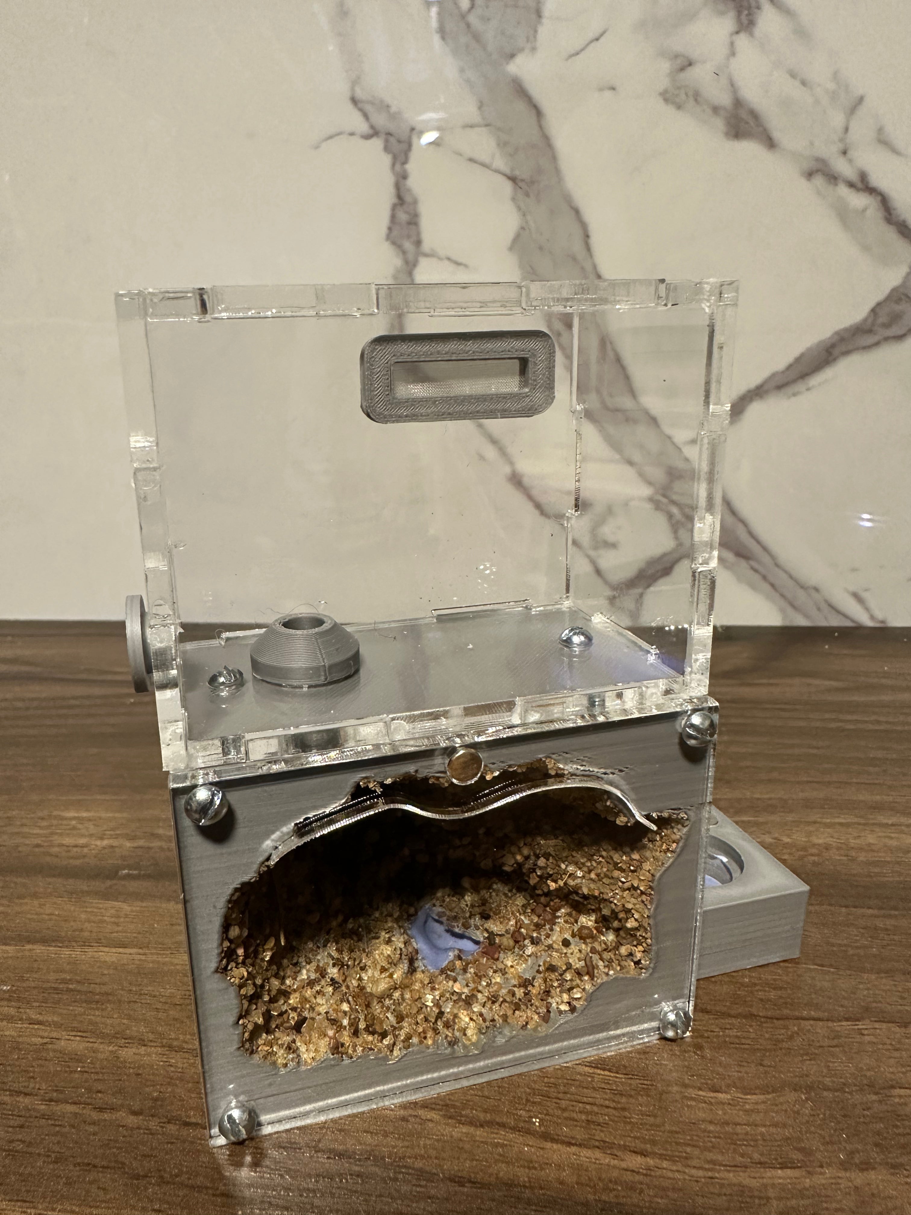 *Hormiguero Acrílico Compacto 12x8x5cm - Nido + Forrajeo con Tapa Roja Magnética*