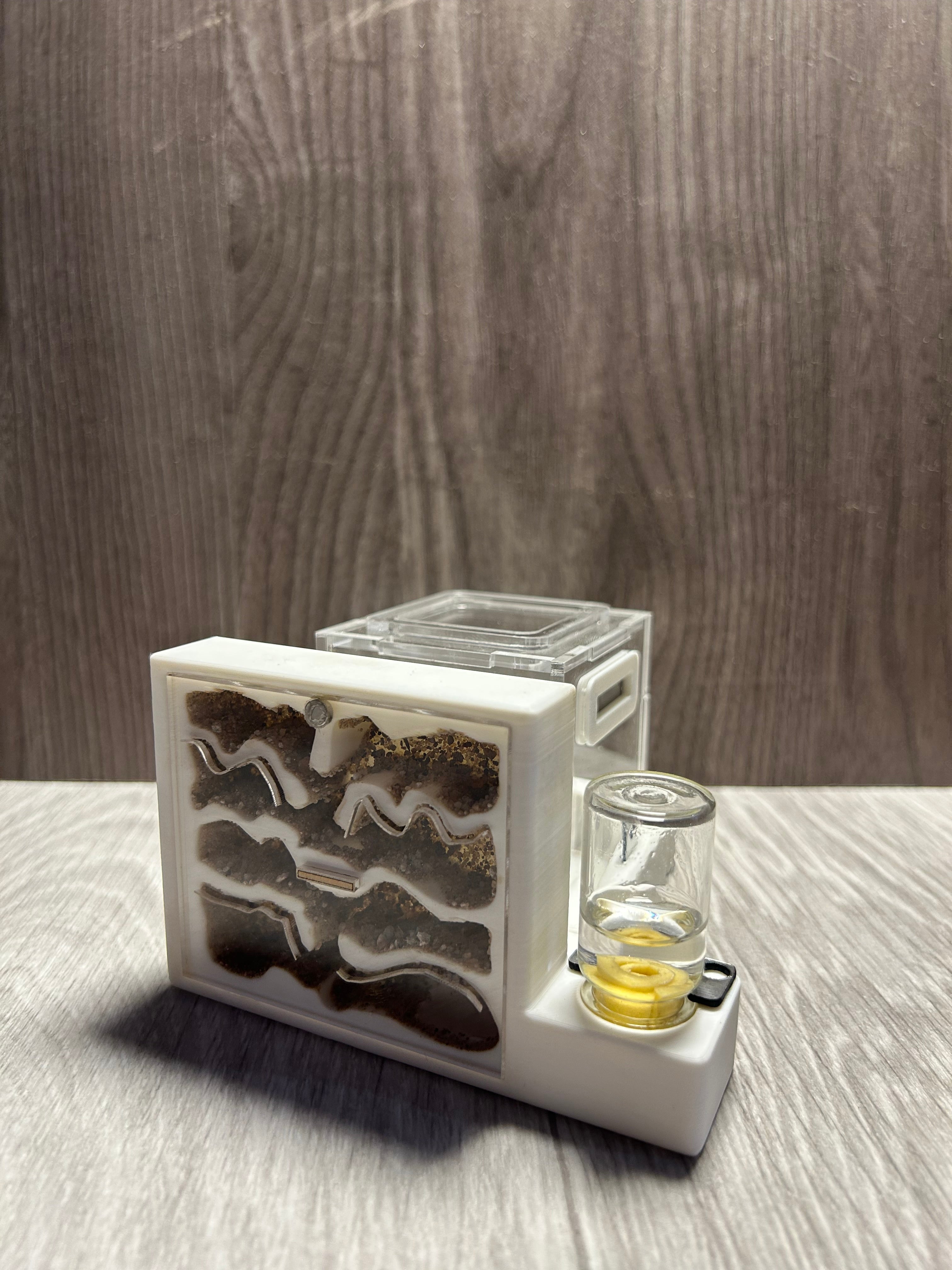 *Módulo Hormiguero Natural 12x8x4 cm C/Bebedero y Forrajeo | Hormiwood*