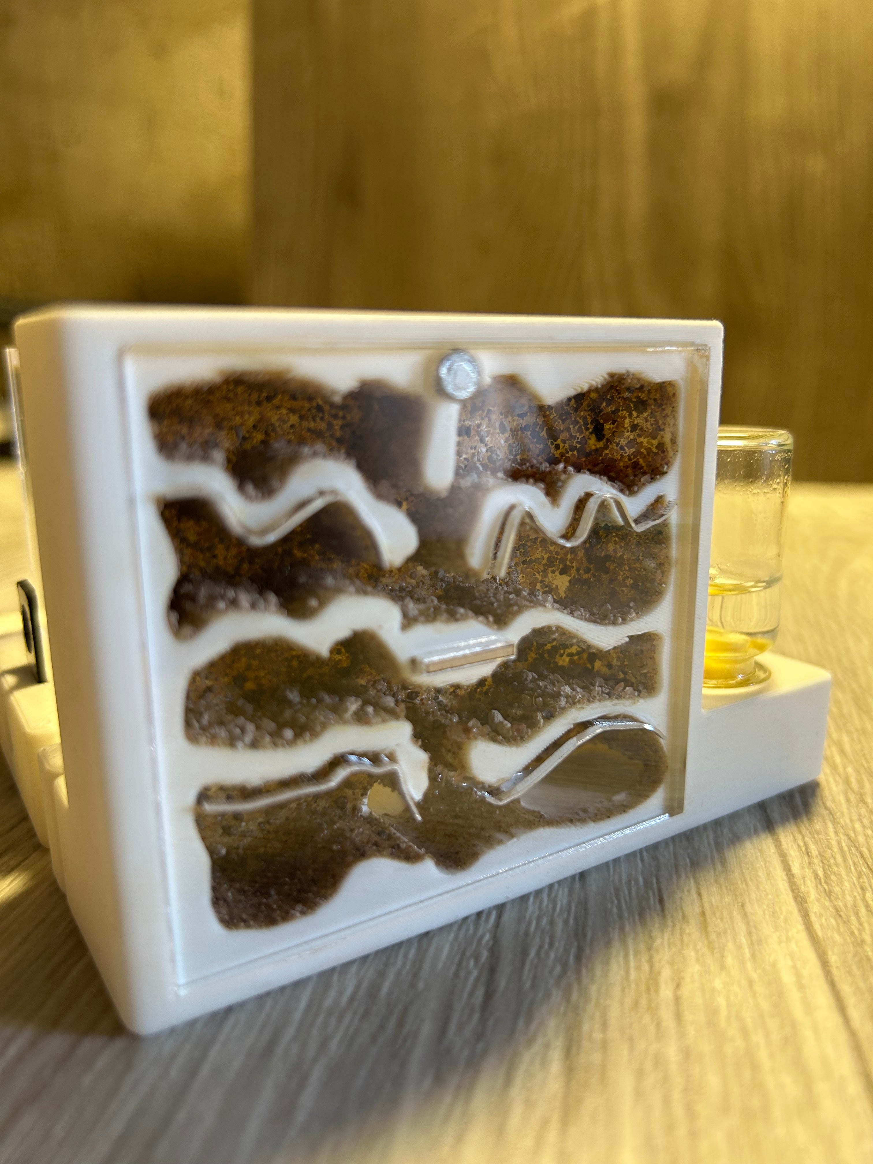 *Módulo Hormiguero Natural 12x8x4 cm C/Bebedero y Forrajeo | Hormiwood*