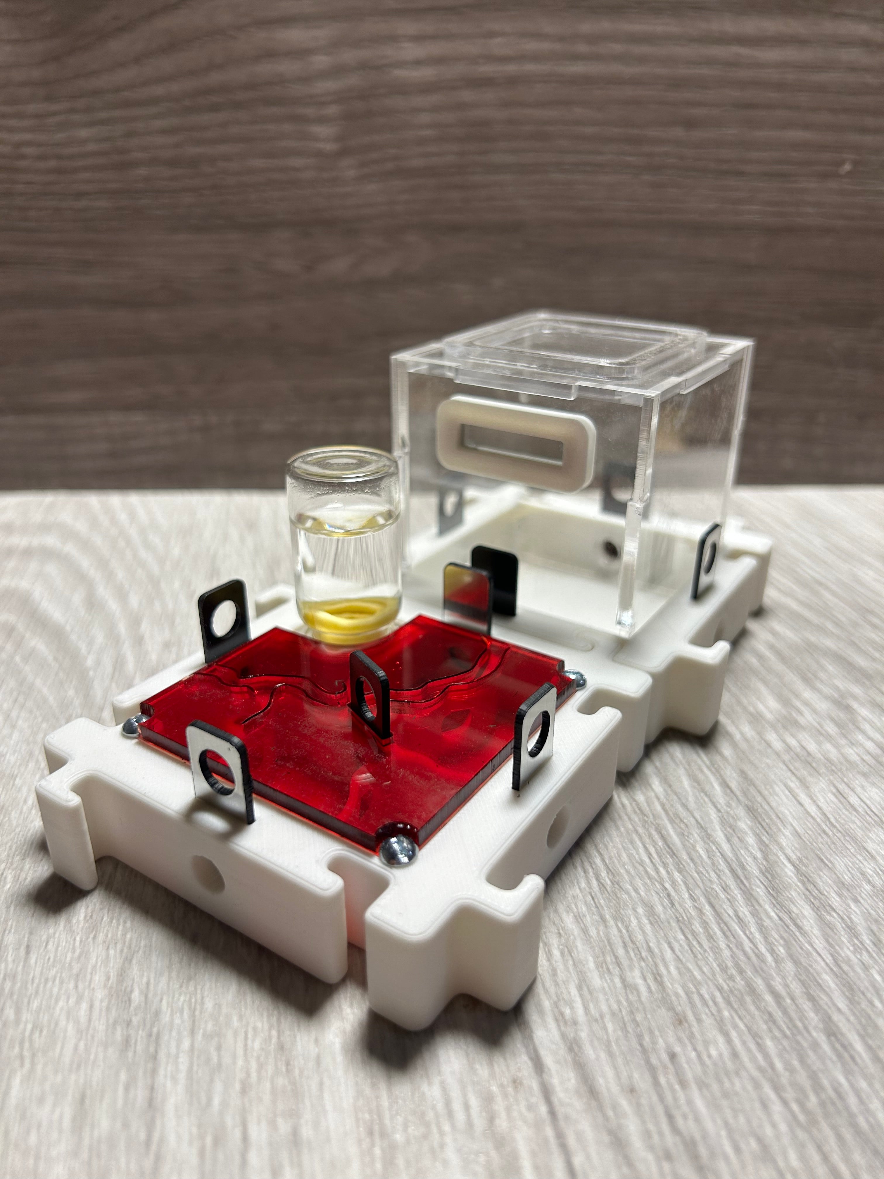 *Módulo Hormiguero 8x8x2 cm - 4 Vías + Bebedero | Hormiwood*