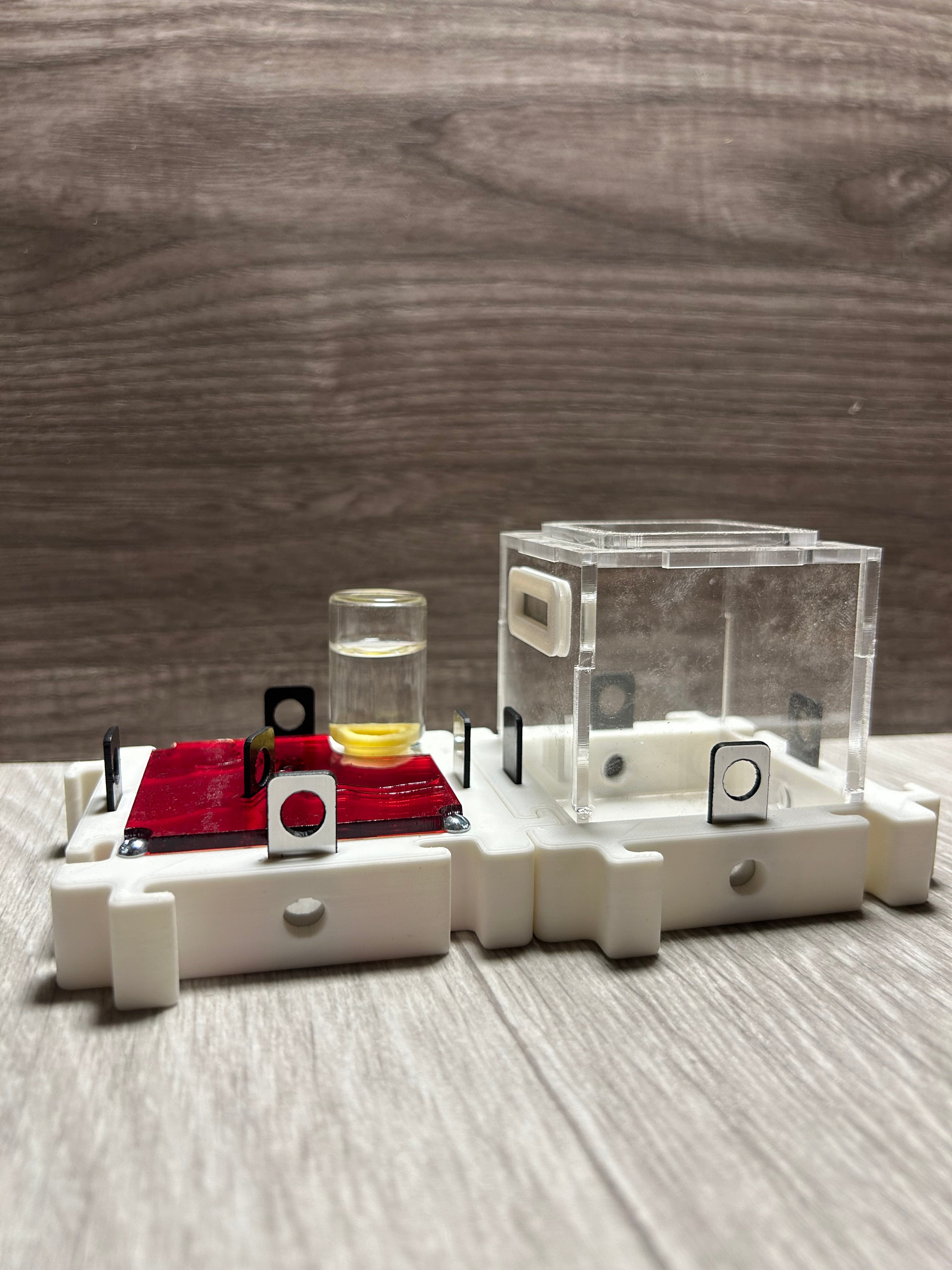 *Módulo Hormiguero 8x8x2 cm - 4 Vías + Bebedero | Hormiwood*