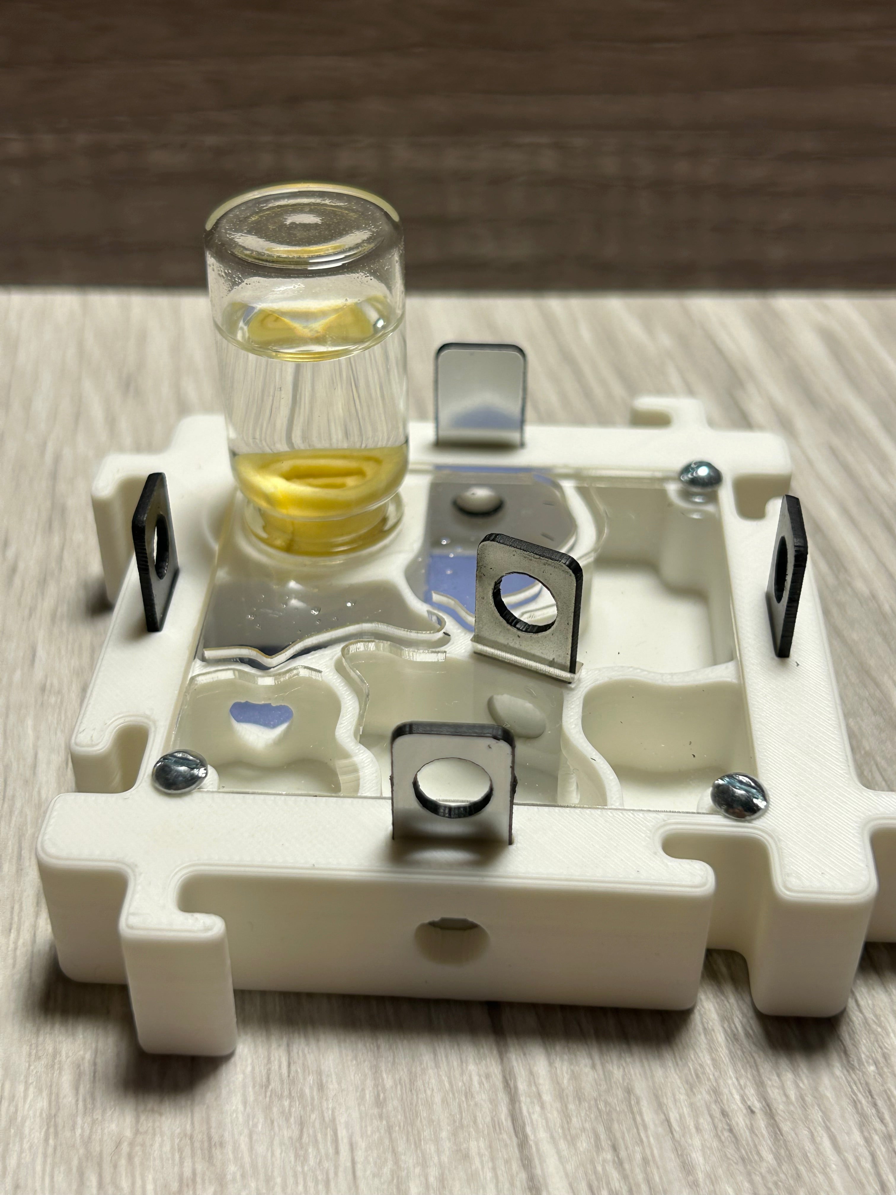*Módulo Hormiguero 8x8x2 cm - 4 Vías + Bebedero | Hormiwood*