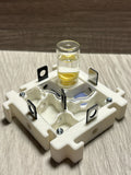 *Módulo Hormiguero 8x8x2 cm - 4 Vías + Bebedero | Hormiwood*
