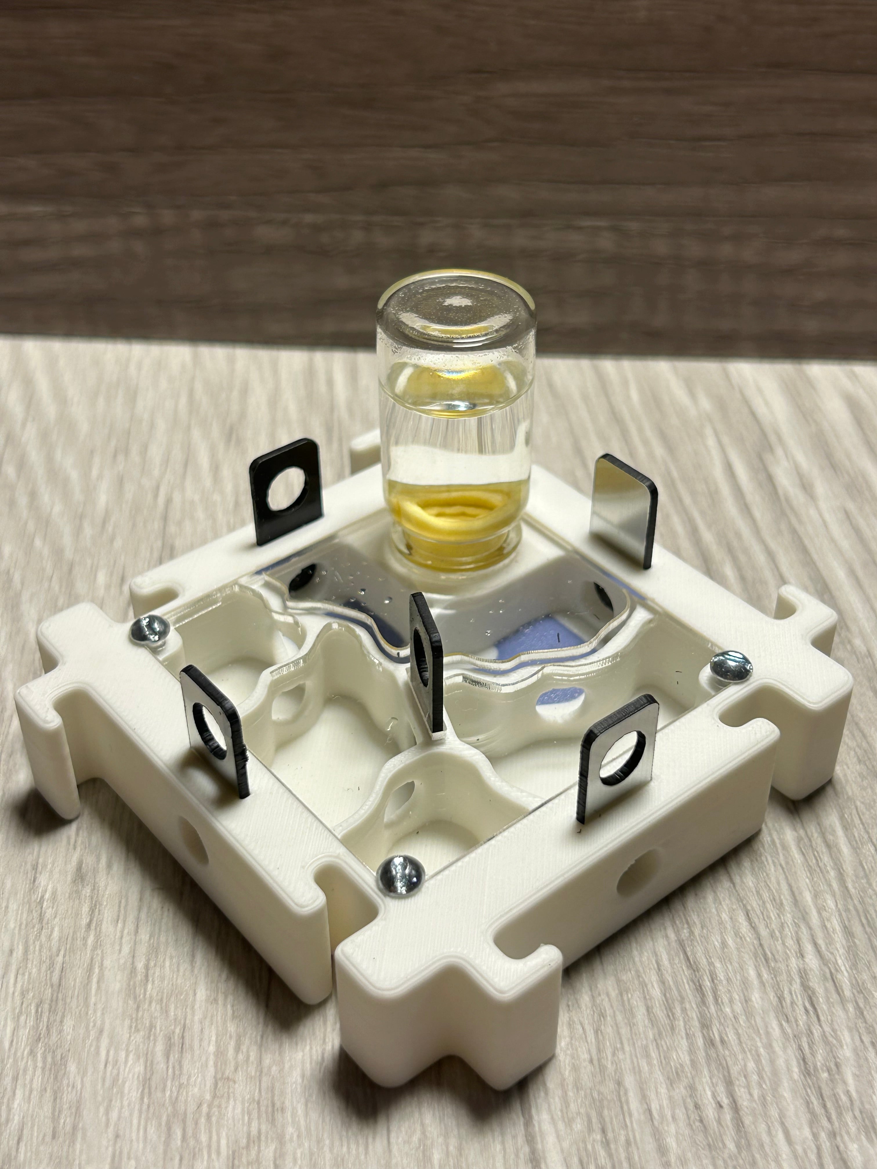 *Módulo Hormiguero 8x8x2 cm - 4 Vías + Bebedero | Hormiwood*
